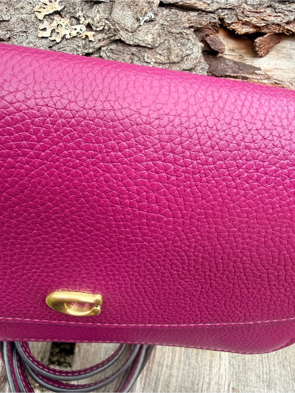 Coach Hayden Crossbody Clutch Bag C4815